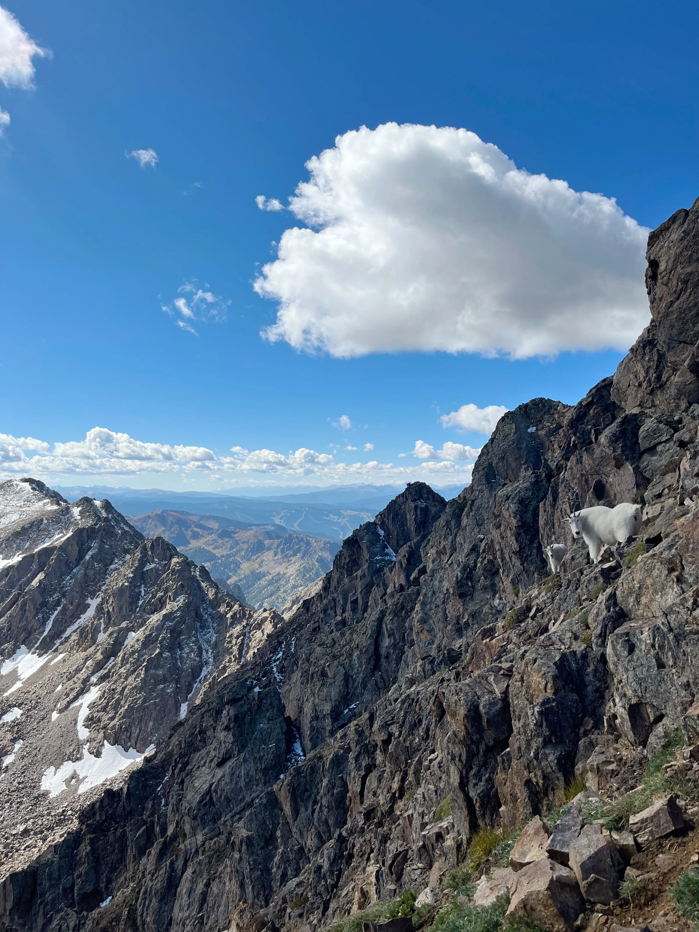 Cleaning and junk removal in Breckenridge Colorado - Spring Cleaning Company vacation rental window post-construction commercial and move-out cleaning Summit County