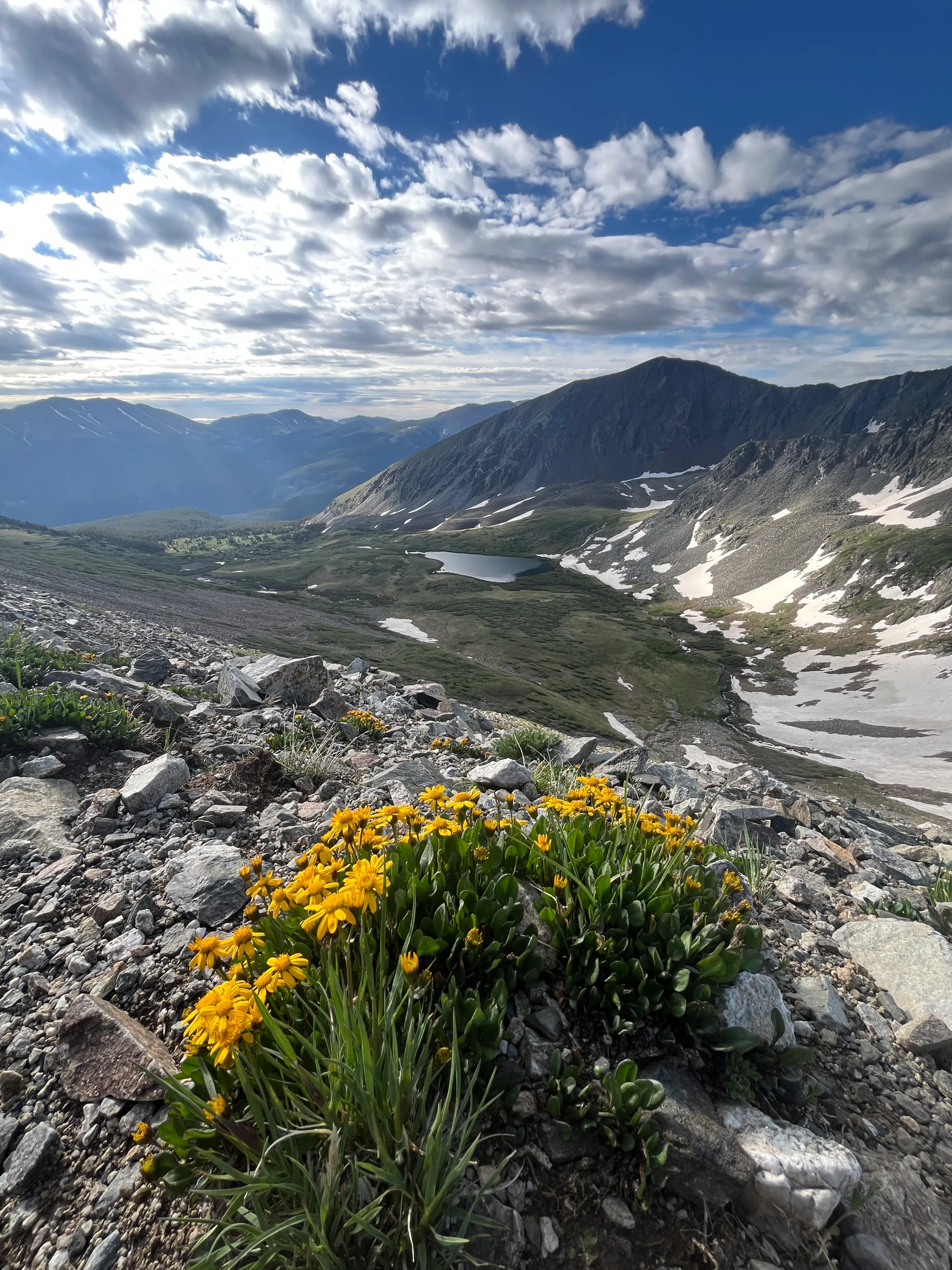 Cleaning and junk removal in Frisco Colorado - Spring Cleaning Company vacation rental window post-construction commercial and move-out cleaning Summit County